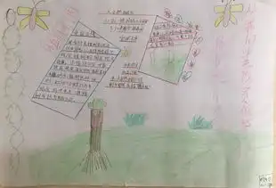 语文综合性学习手抄报展示