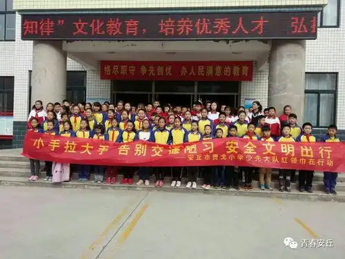 贾戈小学开展小手拉大手,共守文明交通主题教育活动