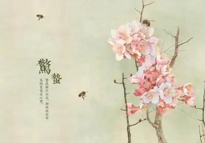惊蛰过后是什么节气惊蛰后面的节气是春分吗