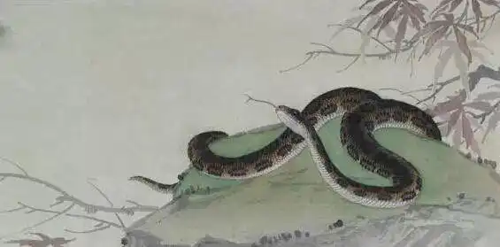2019年贵人运最旺的生肖