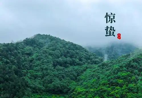 春天最响亮的仪式感8首惊蛰诗词,唤醒春日好时光