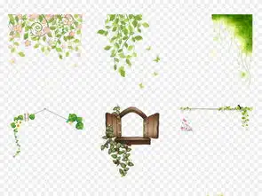 春天卡通手绘树藤青藤藤蔓树叶花藤png免抠素材图片模板下载51.70mb其他大全花纹边框