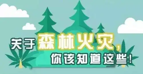 2021年森林防火倡议书800字精选3篇