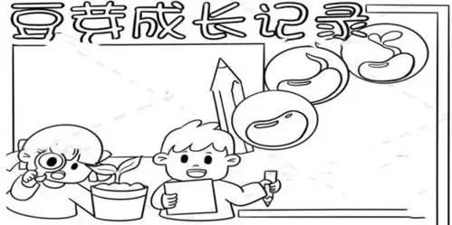 豆芽观察日记七天带图手抄报