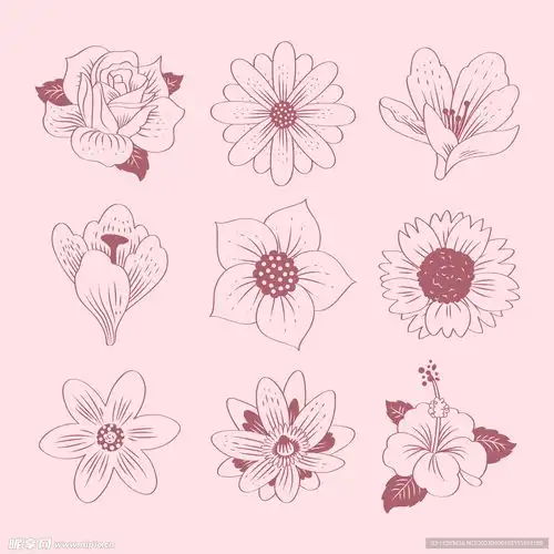 手绘花朵设计图