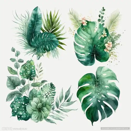 手绘水彩树叶热带树叶手绘设计图花边花纹