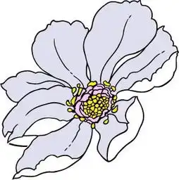 淡彩手绘花朵插画素材eps免费下载编号5759909红动网