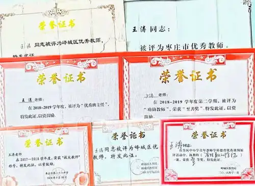 枣庄市第二十八中学教师王涛