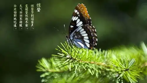 钓鱼人都应该知道的钓鱼月历