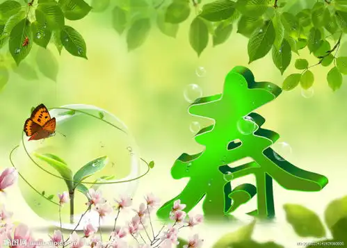 关于春天的手抄报内容