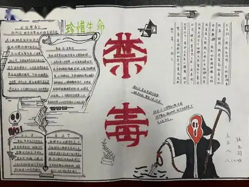大武口区禁毒新星勇当先争当小小排头兵