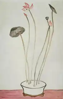 全世界最贵的大腿诞生
