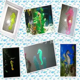 欣宝贝水族装饰产品产品图片加盟店怎么样
