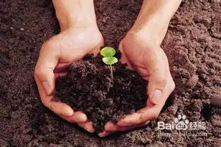 教师节黑板报素材大全