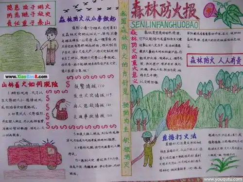 筑牢森林防火线从小学生做起