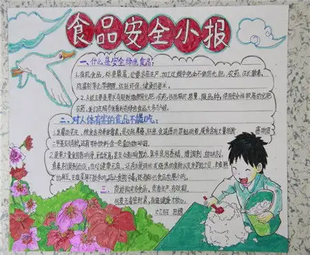 食品安全手抄报食品安全的道理