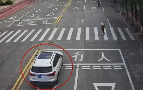 不礼让斑马线,这些车被拍