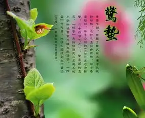 惊蛰的谚语有哪些