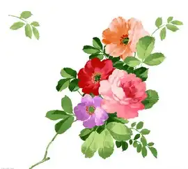 黑板报花边山茶花花边