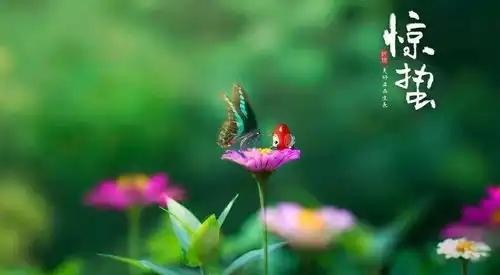 农村老话冷惊蜇,暖春分,惊蜇刮北风,从头另过冬啥意思呢天气