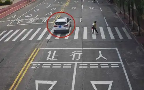 不礼让斑马线,这些车被拍