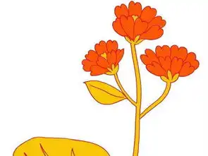 手抄报花边橘红色的花