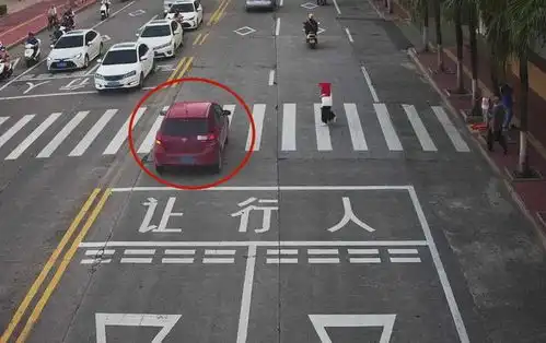 不礼让斑马线,这些车被拍