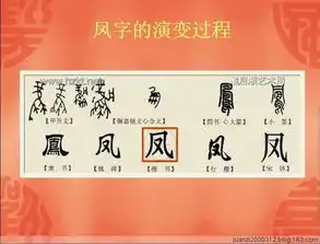 汉字的演变,书法爱好者必知的常识