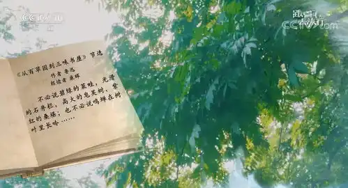 干货推荐丨央视把孩子的227篇课文,拍成纪录片没有看到就亏了