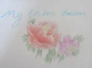 我的理想我的中国梦手抄报