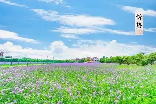 惊蛰宝山春气暖,耕种满田畴