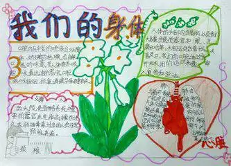 人体的八大系统任选一个做一的手抄报