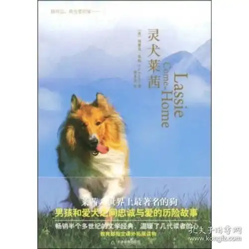 灵犬莱西埃里克奈特erickninght蒋玉洁