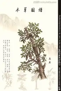 余杭晨报数字报皂荚树之恋