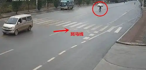 为何两人被判同责