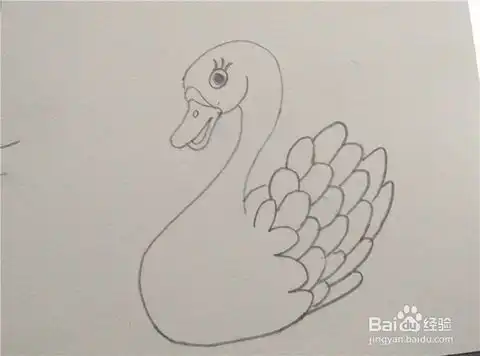 如何画天鹅好看