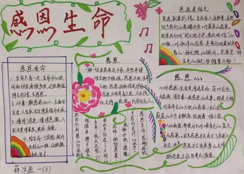 感恩生命孝敬父母手抄报