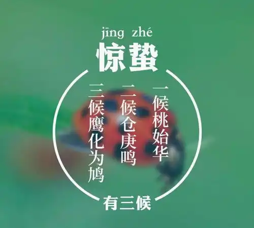 老人说惊蛰遇北风,重新过寒冬,惊蛰刮风有啥说法早了解