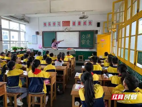 临湘法制教育进校园交通安全伴我行