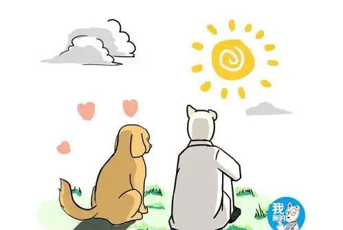 狗狗湿疹反复发作操碎了心及时预防才是硬道理