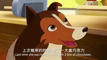 新灵犬莱西