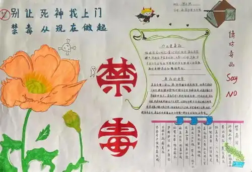 活动回顾健康人生,绿色无毒文化作品征集活动获奖作品公布