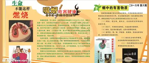 吸烟危害健康健康宣传栏设计图
