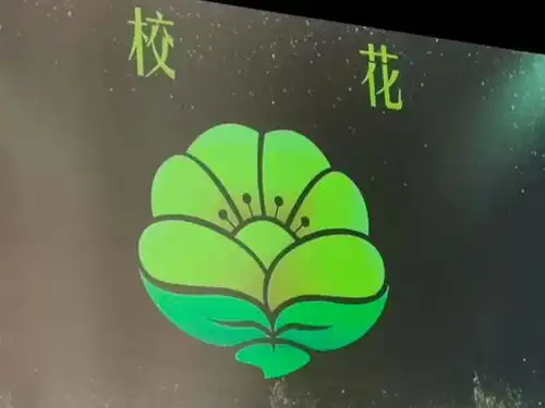 湾大附小我的首场发布会在湾大举行
