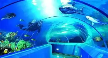 毕业季面朝大海青岛必打卡景点快来get吧