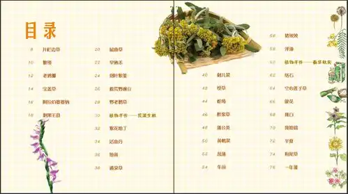 植树节云播种植物学家带你们发现植物