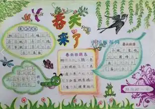 怎么写手抄报,给个图片