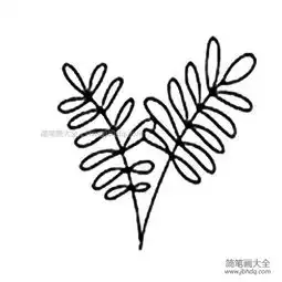 槐树树叶简笔画