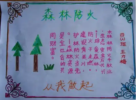 森林防火手抄报森林防火燃烧物