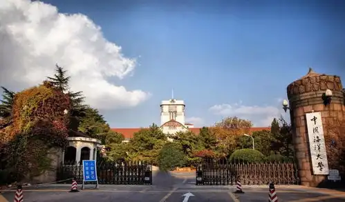 985高校有大动作,撤销一个学院,建设四个新学院